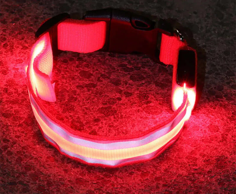 Led Luminous Dog Collar