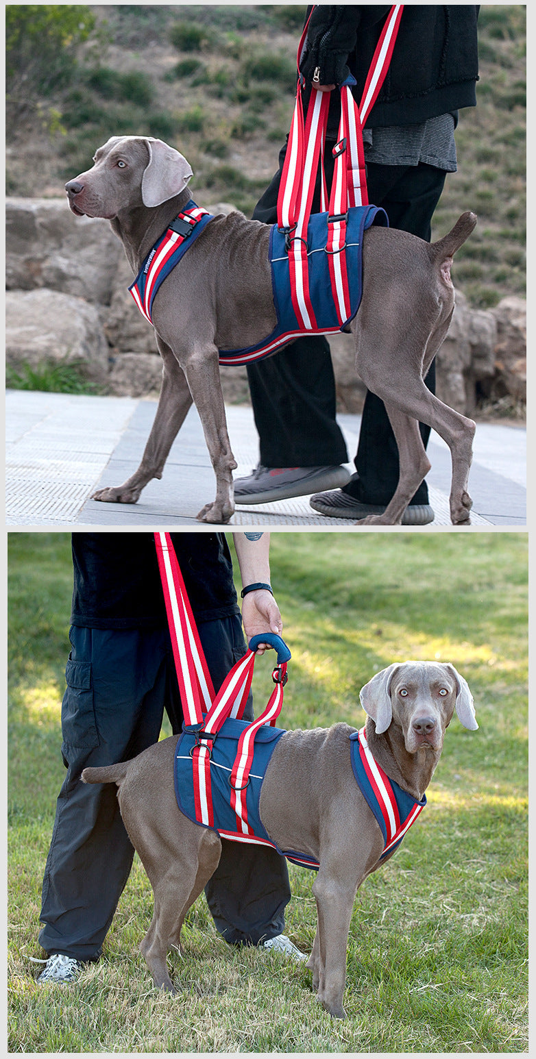 Leash Harness For Elderly Dogs