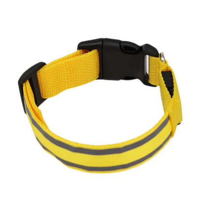 Led Luminous Dog Collar