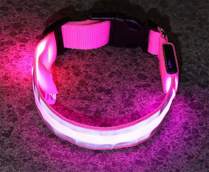 Led Luminous Dog Collar