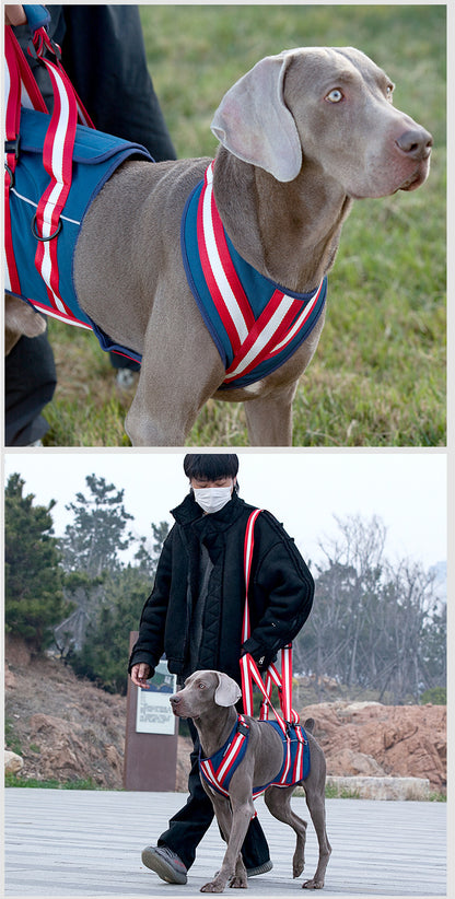 Leash Harness For Elderly Dogs