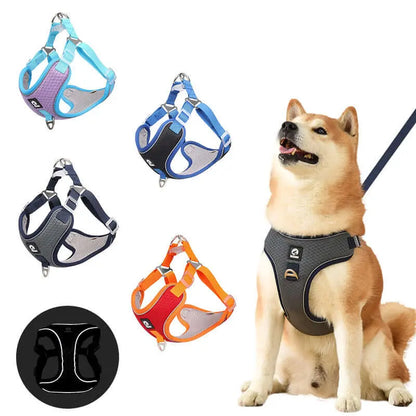 No Choke Dog Harness