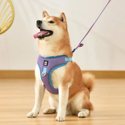 No Choke Dog Harness