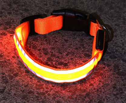 Led Luminous Dog Collar