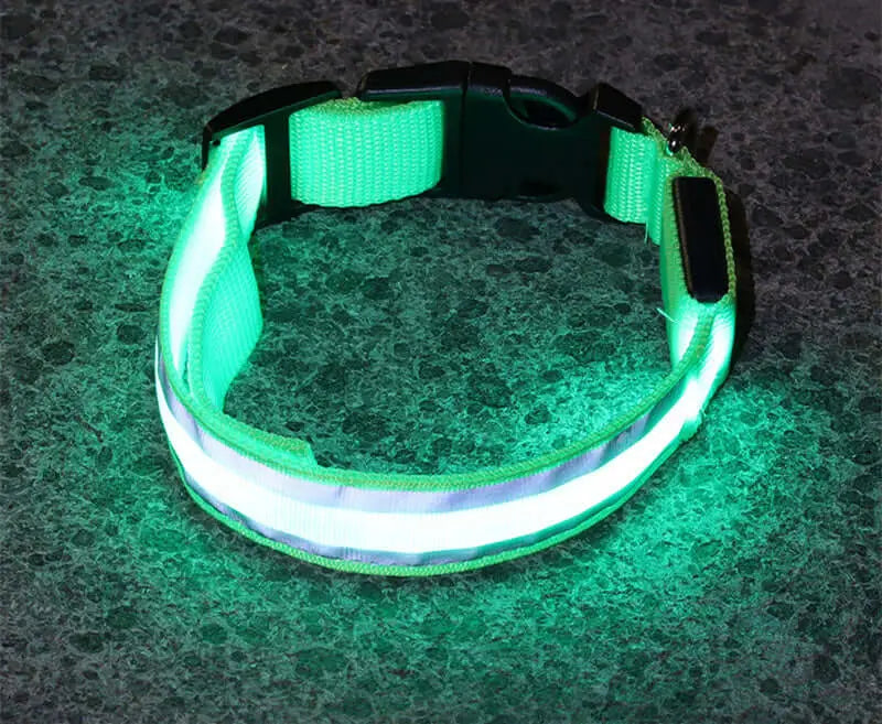 Led Luminous Dog Collar