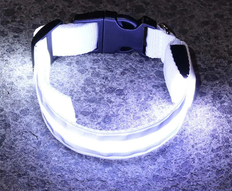 Led Luminous Dog Collar