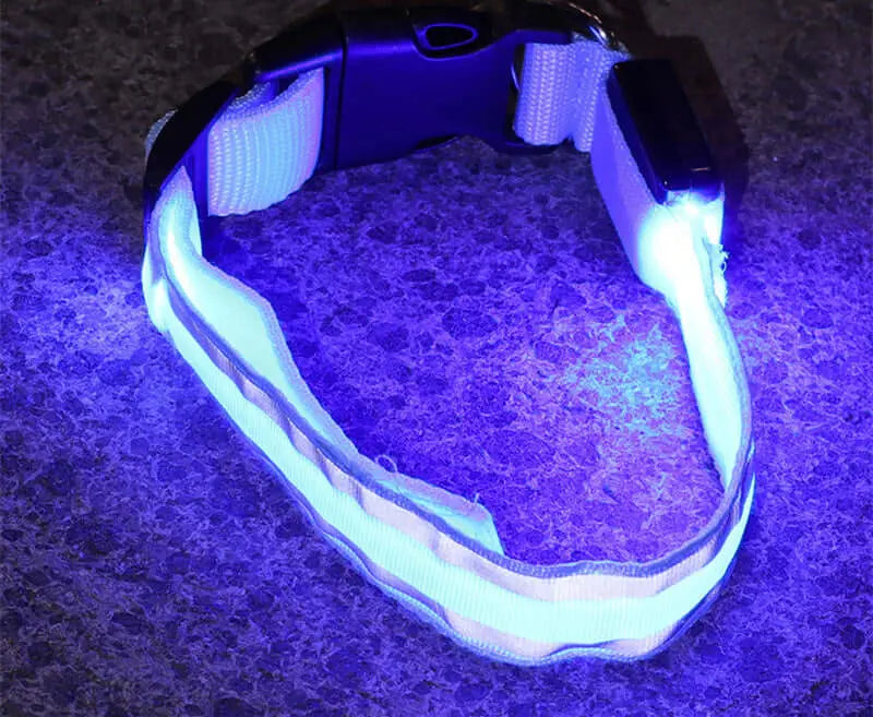 Led Luminous Dog Collar