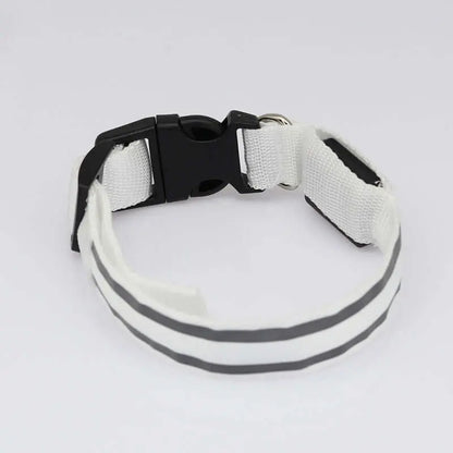 Led Luminous Dog Collar