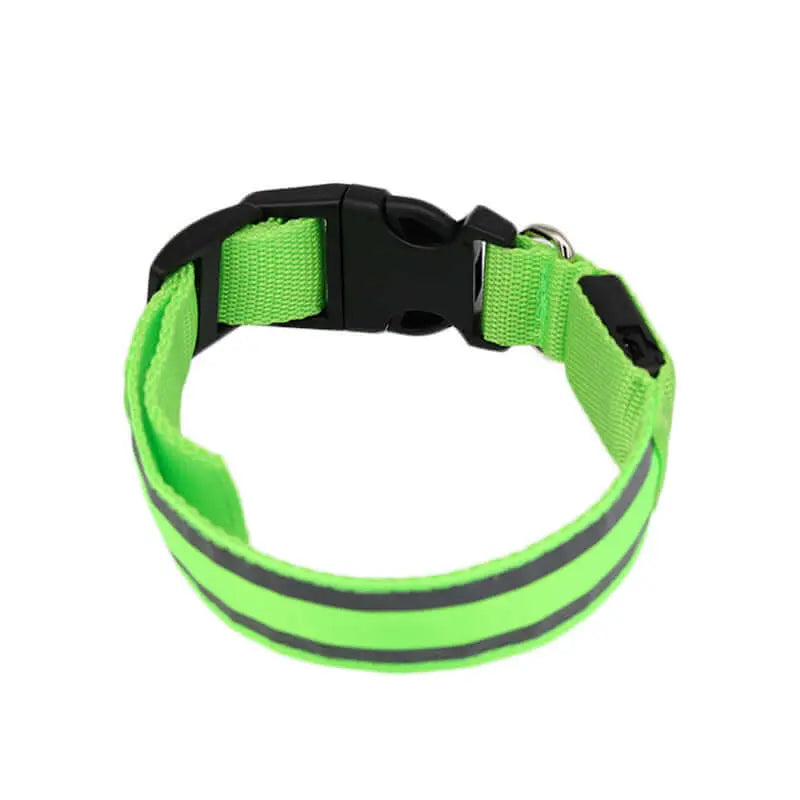 Led Luminous Dog Collar