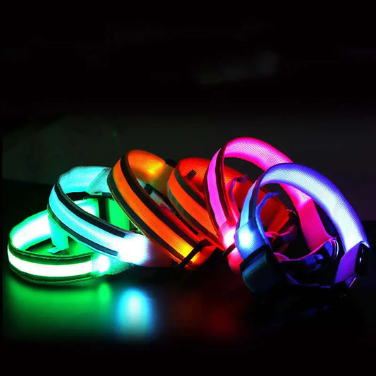 Led Luminous Dog Collar