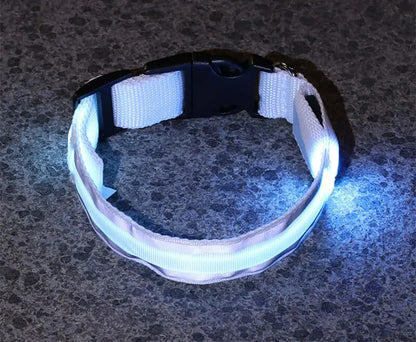 Led Luminous Dog Collar